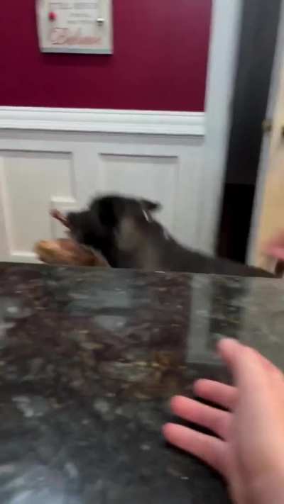 I guess that’s mine