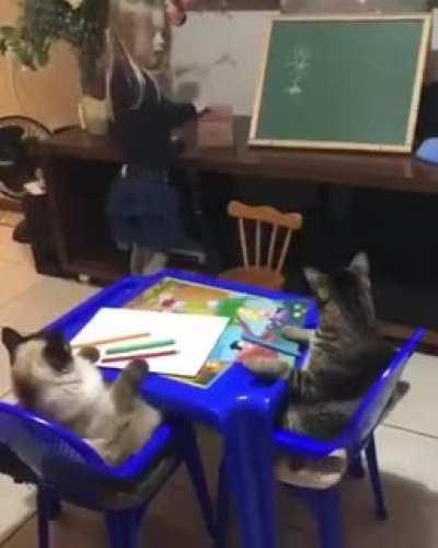 The teacher is very enthusiastic..