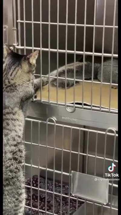 to not touch everything