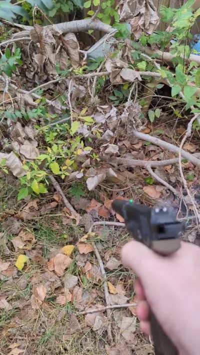 Heard we're doing yard pops