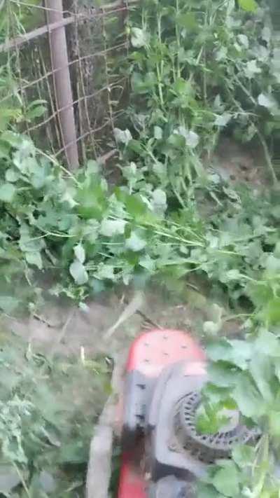 Figured I would put one of my own on here.