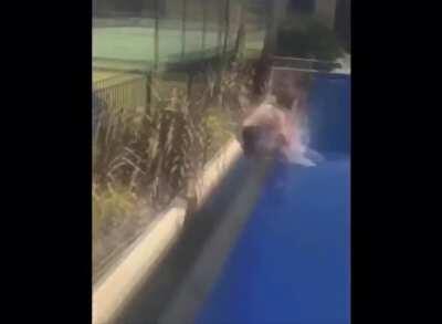 Not mine, I don't know the original creator, sorry, but I found it funny, so maybe Ryan will as well.