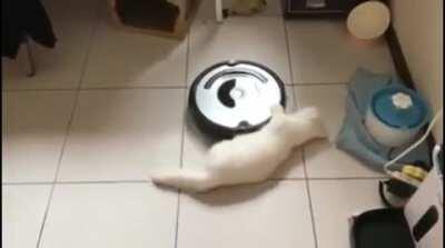 SIcK FUcK glueS a cAt tO A rOOMBa