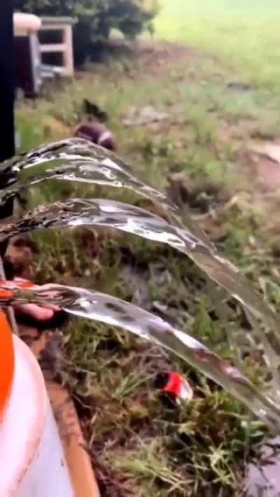 The balloon is a paid actor