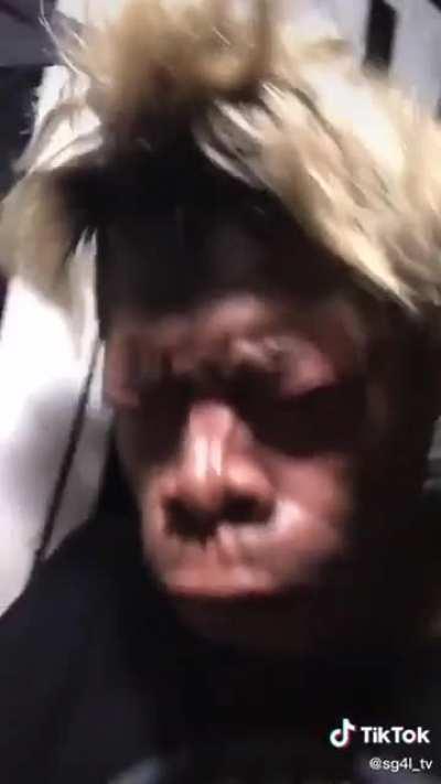 Most beautiful Monkeydonian