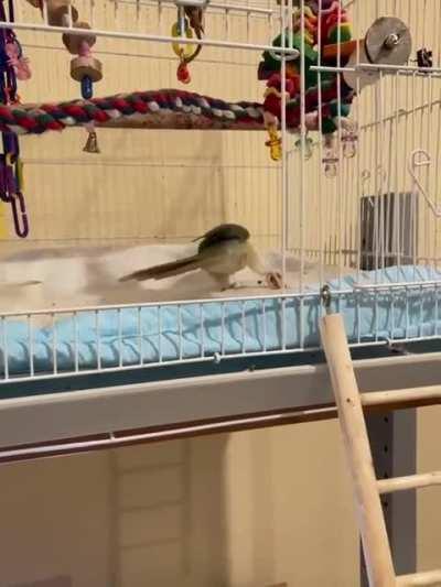 Study hard, play harder