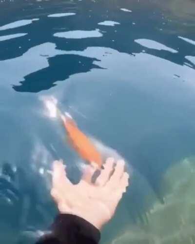 When you make another wish every time