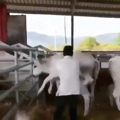 Дресеровщик