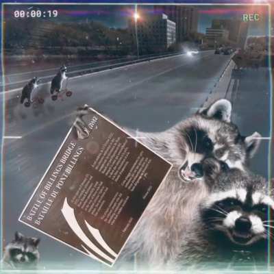 99 Rideau Trash Pandas Claim Responsibility For Removing 