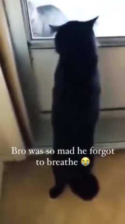 Idiot wunk is PISSED