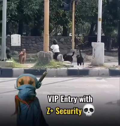 Real Z+ Security 💀✅