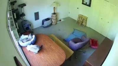 Oh, I'm sorry, were you sleeping here?