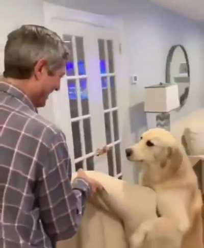 Dad's little helper.