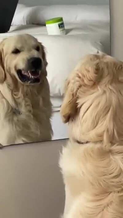 Practicing angry faces