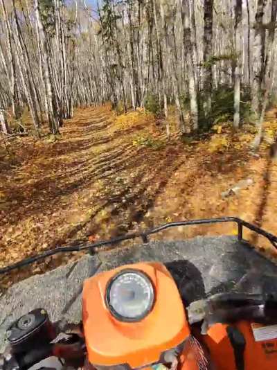 Why not!! Still hate this boke