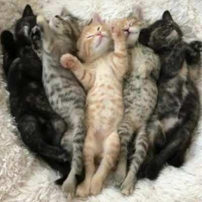 Perfect monday morning !Have a good start of week!!!