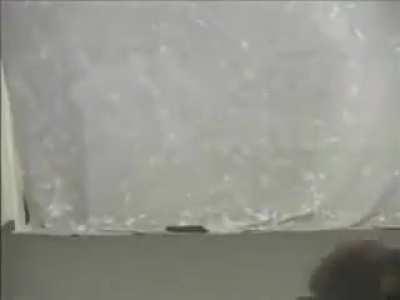 The Matrix: Lost Auditions