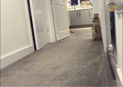 This kitty like she's practicing toddler talk and it’s all about food 😆