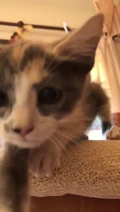 She wanted a sausage