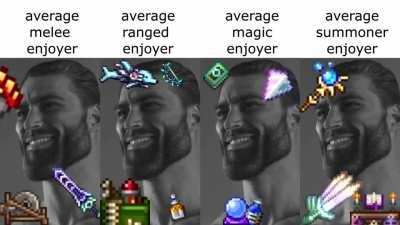 Average Terraria Enjoyer.