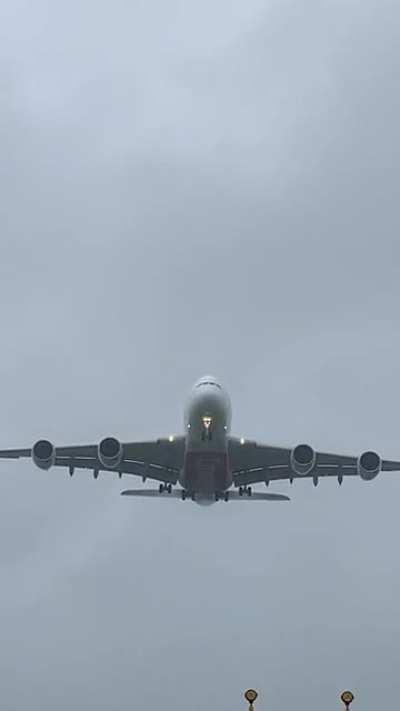 Biking in the rain and wind is worth it to see this big boi <3