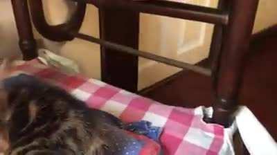 Yawning is dangerous.