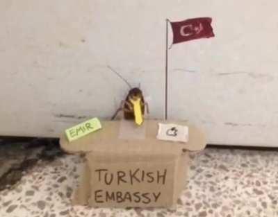 You can always count on Emir