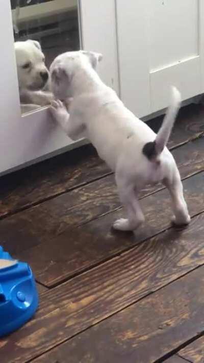 This made me laugh harder than it should’ve