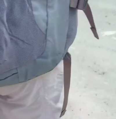 Life uhh … finds a way 