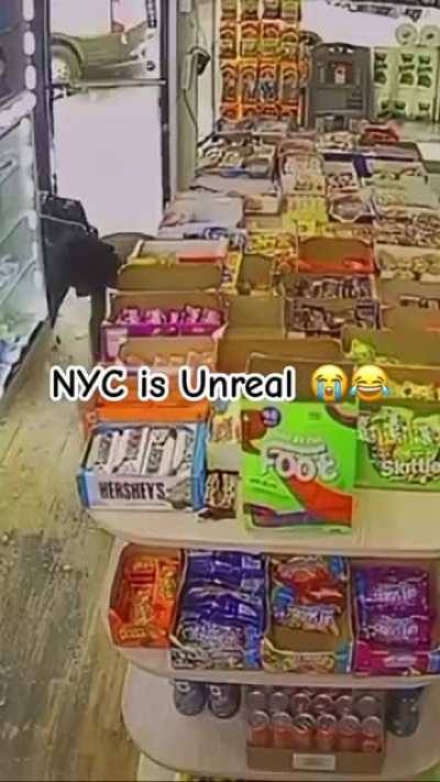 bro crashes thru unlocked store door for fun