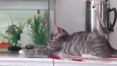 You are seeing nothing human 🥹