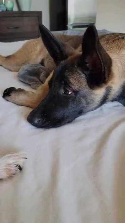 Just about to fall asleep....when...YOUR ARM!