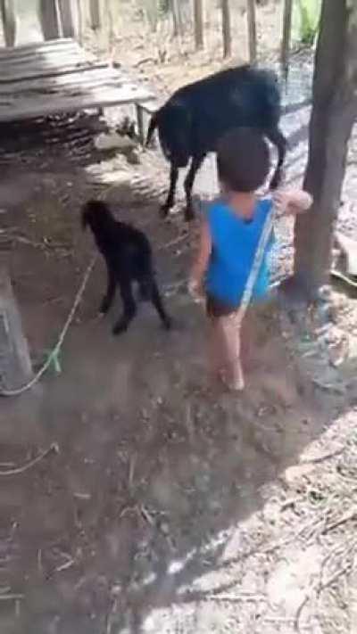 to offend the weakest.