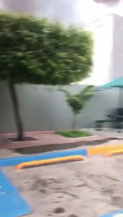 Video viejo, pero bueno