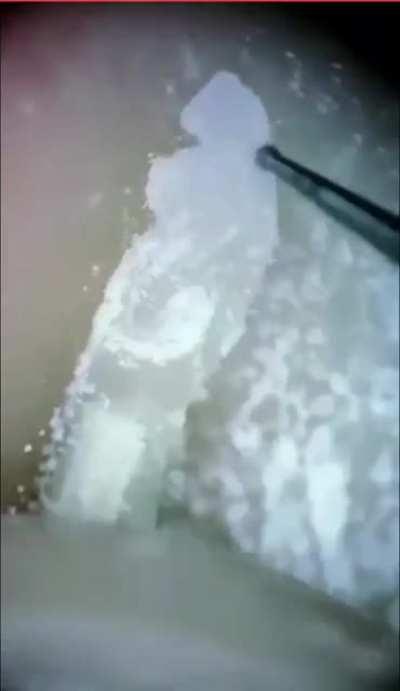 godzilla carved from a grain of rice