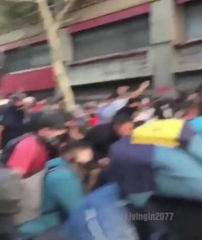 Sempre levem um bardo