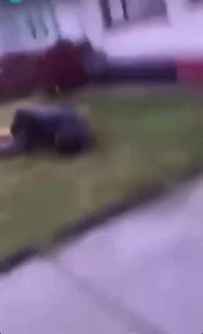 How NOT to get down from the roof