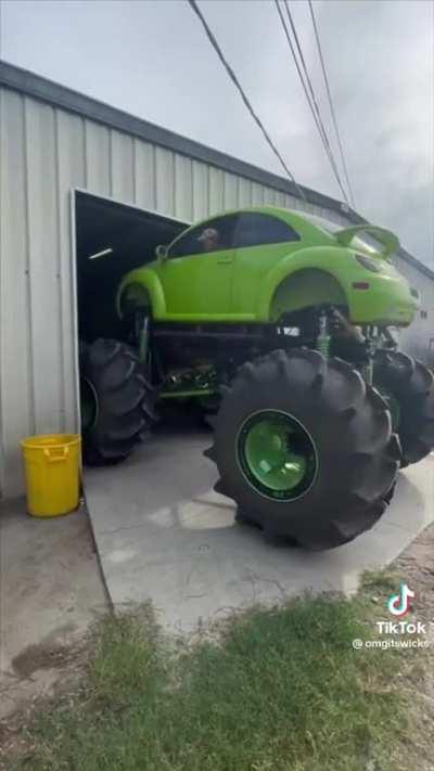 The Bugs Are Huge In Florida!