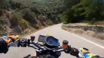 Twisties for the soul