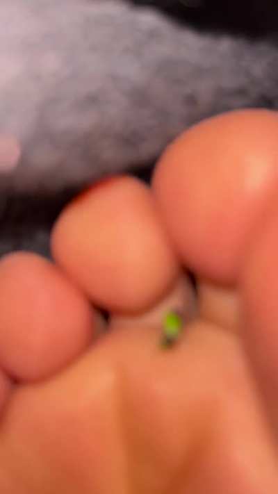 I love working out with a tiny inside my sock