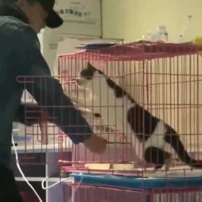 Thanks... but what I really want is snuggles