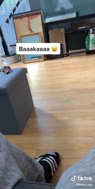 I don't know if someone posted this already but this is too cute❤