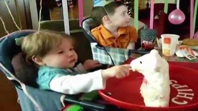 OMG WHAT HAVE I DONE