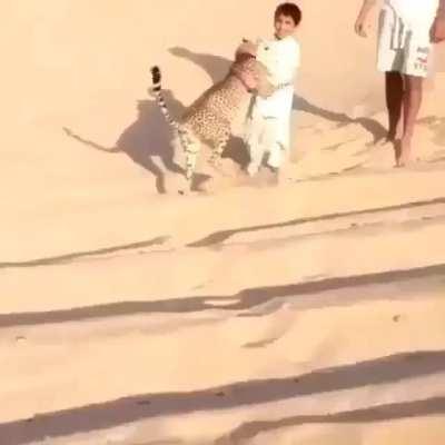 To outrun a Cheetah!