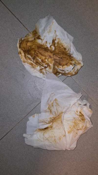 Pooping, tasting, blowie with joi. (F)