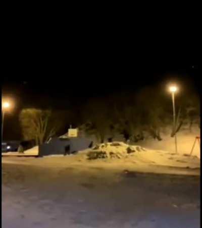 trying to hide after lighting a cracker