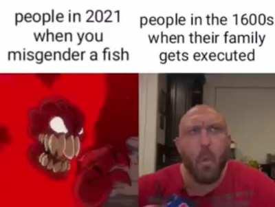 Feeeeeeeesh prnoun fish/fish secc lasagn