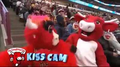 Kiss cam at bulls game.
