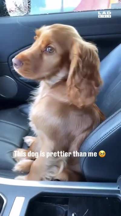 Trip to first vacation with Disney, see who is looking pretty