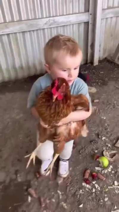 Carrying chickens cracking jokes (sound)